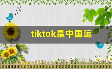 tiktok是中国运营的吗_tiktok 用户数